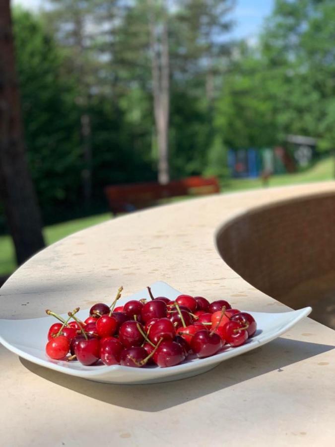 Hotel Velista Voneshta Voda Εξωτερικό φωτογραφία